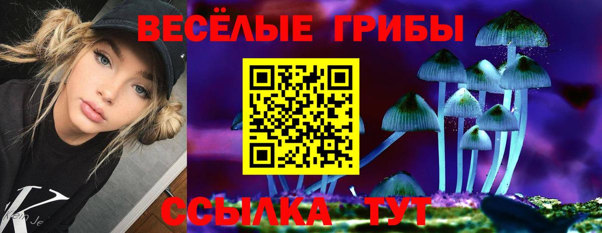 Галлюциногенные грибы Cubensis  Вход с VPN  Кизилюрт 